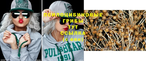 прущая мука Лабытнанги